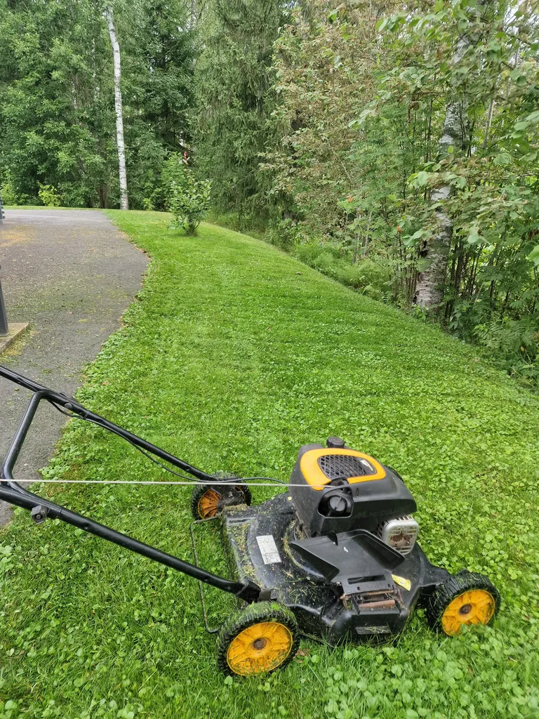Nurmikon leikkuu – siisti lopputulos