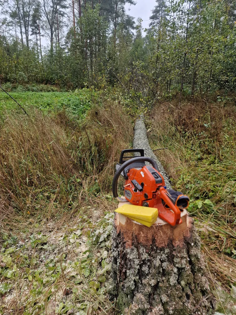 Pihapuiden kaato – ammattimetsuri työssä
