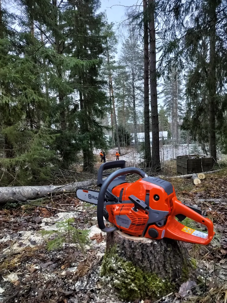 Ison puun kaato Hausjärvellä