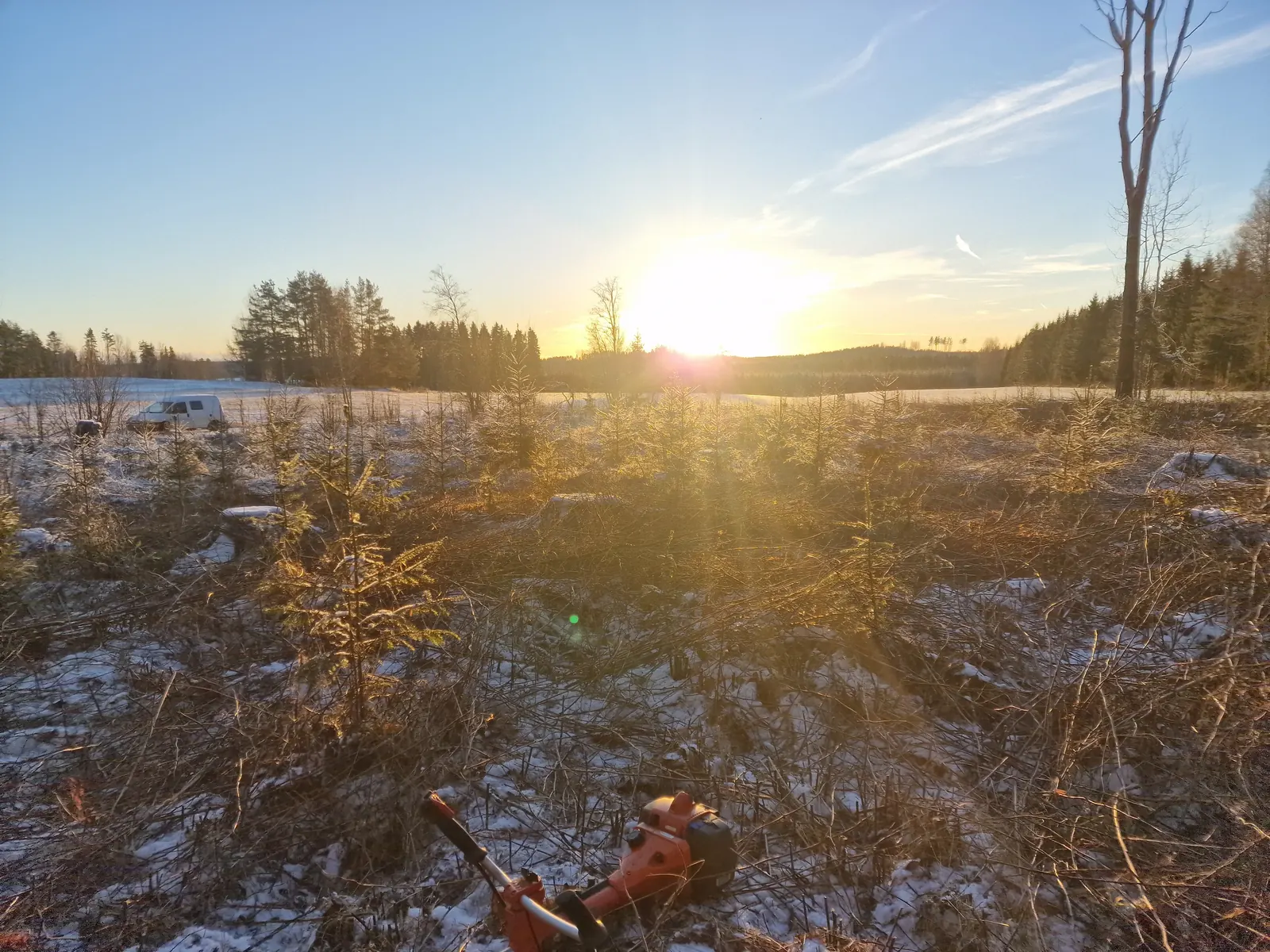 Varhaisperkaus Kanta-Hämeessä auringonlaskussa